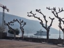 Torri del Benaco - Lago di Garda-Italia 2025-Promenade_III
