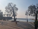 Torri del Benaco - Lago di Garda-Italia 2025-Promenade_IV