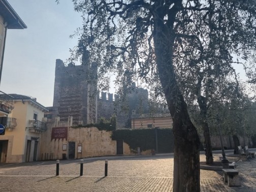 Torri del Benaco - Lago di Garda-Italia 2025-Der Burg